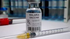 Расплата за цивилизацию: антивакцинация, расцвет малярии, ГМО