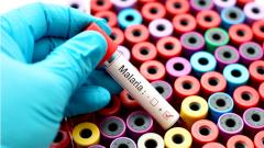 Лекарства от малярии оказались эффективны против коронавируса