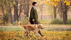 Другой стиль ходьбы: назван новый способ профилактики диабета