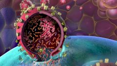 Искусственная кровь, Костя-киборг и разрушение бактерии