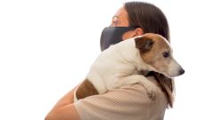 В России зарегистрирована первая вакцина от COVID-19 для животных