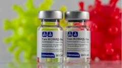 Гинцбург рассказал о действии «Спутника V» на южноафриканский штамм COVID-19