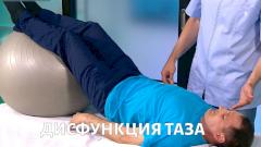 Тазобедренная часть