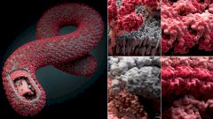 Находки Доктора