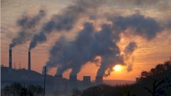 ООН заявила, что уровень смертности от COVID-19 связан с загрязнением воздуха