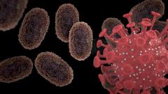 ковид, оспа обезьян