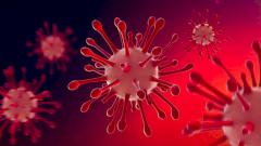 в России выявлены два новых подварианта коронавируса