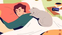 Для здоровья сердца полезнее спать, чем сидеть на диване: исследование