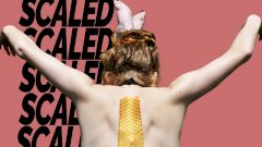 Находки Доктора