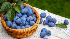 Диетологи назвали недооцененный осенний фрукт с огромным количеством полезных свойств