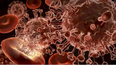 В вирусе SARS-CoV-2 обнаружен фрагмент человеческого белка