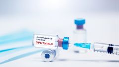 Австрия может купить миллион доз «Спутника V»
