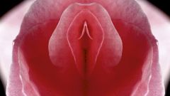 Самоочищается и не пахнет