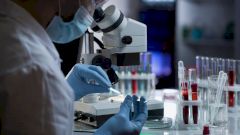 В России создан тест, выявляющий антитела к коронавирусу за 15 минут