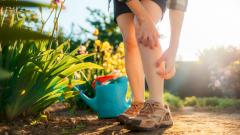 Чем опасны укусы насекомых