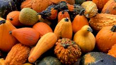 Названы три продукта, которые помогут дожить до 90 лет