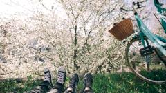 Как подготовить здоровье к весне?