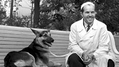 Отец мировой трансплантологии Владимир Петрович Демихов