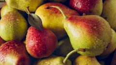 Груша: польза и вред для организма, витамины и полезные свойства