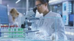 Ученые смоделировали отказ органов при COVID-19