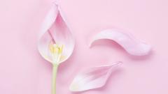 Климакс: не так страшен черт, как его малюют