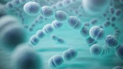 как некоторые супербактерии избегают антибиотиков