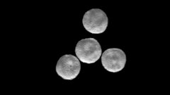 Стволовые клетки «научили» самостоятельно выращивать модель человеческого сердца