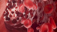 Созданы искусственные клетки крови, которые могут работать как настоящие