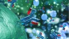 Ученые определили точный срок сохранения иммунитета к COVID-19