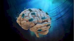 Профессор «Сколтеха» о будущем медицины: «Вместо таблетки вы получите чип»