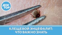 Клещевой энцефалит: как защитить себя и близких