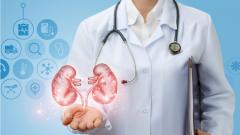 У россиянина удалили опухоль из почки и сохранили орган