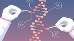Ученые разработали генную терапию для детей с дистрофией мышц