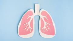 Российские ученые предложили уничтожать затаившиеся очаги туберкулеза с помощью желтого света