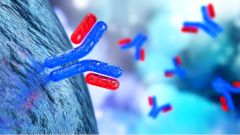 В США разработан «коктейль» из антител против коронавируса