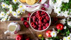 Малина: польза и вред для организма, витамины и полезные свойства