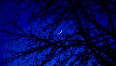 Оказывается, синий цвет улучшает сон: как это происходит