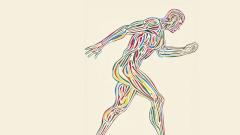 Может ли биохакинг продлить жизнь — отвечают специалисты