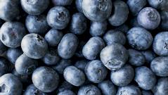 Названы полезные свойства голубики — особенно она нужна детям