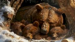 У людей найдены скрытые гены спячки, которые могут лечить болезни