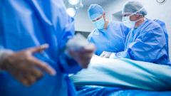 Прорыв в медицине: ученые поняли, как остановить отторжение свиных почек