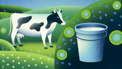 Для производства молочных продуктов больше не нужны коровы