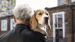 Найден антивозрастной препарат, продлевающий жизнь животным