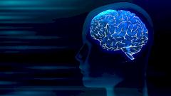 Тело диктует мораль: как внутренние ощущения влияют на наши решения