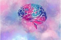 12 факторов для поддержания здоровья мозга — советы невролога