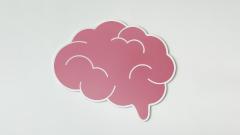 Ученые: часть мозга не стареет, а развивается с возрастом