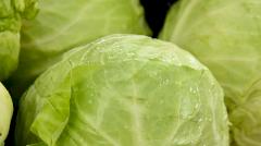 Ученые определили «лучшего друга» кишечника