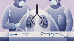 Легкое свиньи впервые в мире пересадили человеку