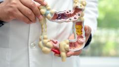 Аппендикс гораздо важнее, чем кажется