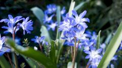 Психологи назвали природное противоядие от стресса